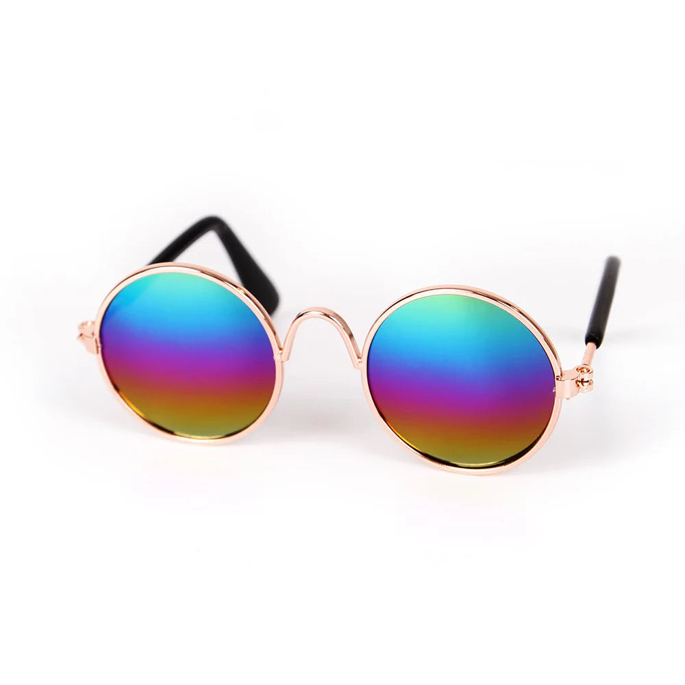 Handsome Dog Glasses in Multicolor