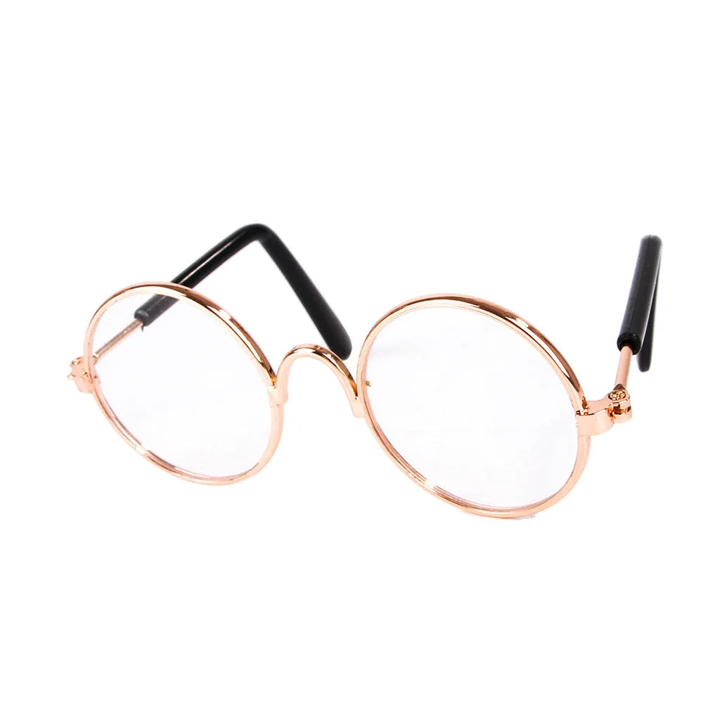 Handsome Dog Glasses in Transparent