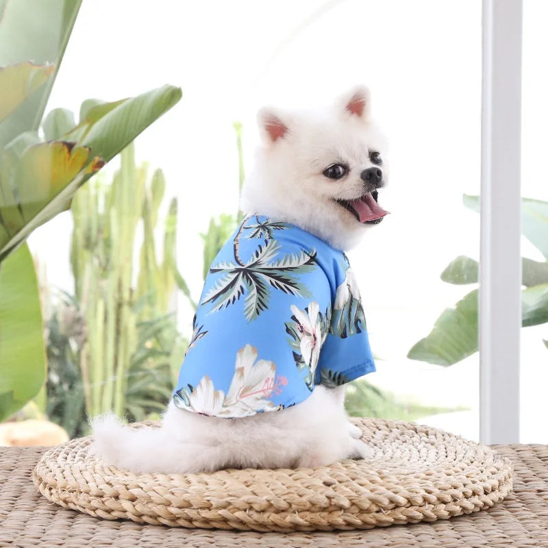 Made of chiffon, this shirt is comfortable and breathable, perfect for hot summer days.