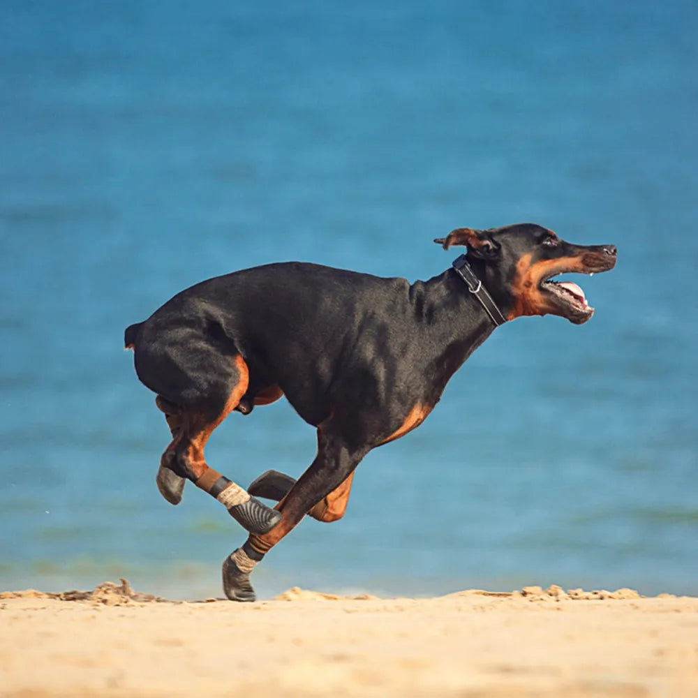 Hiking Dog Shoes