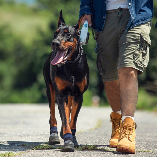 Hiking Dog Shoes