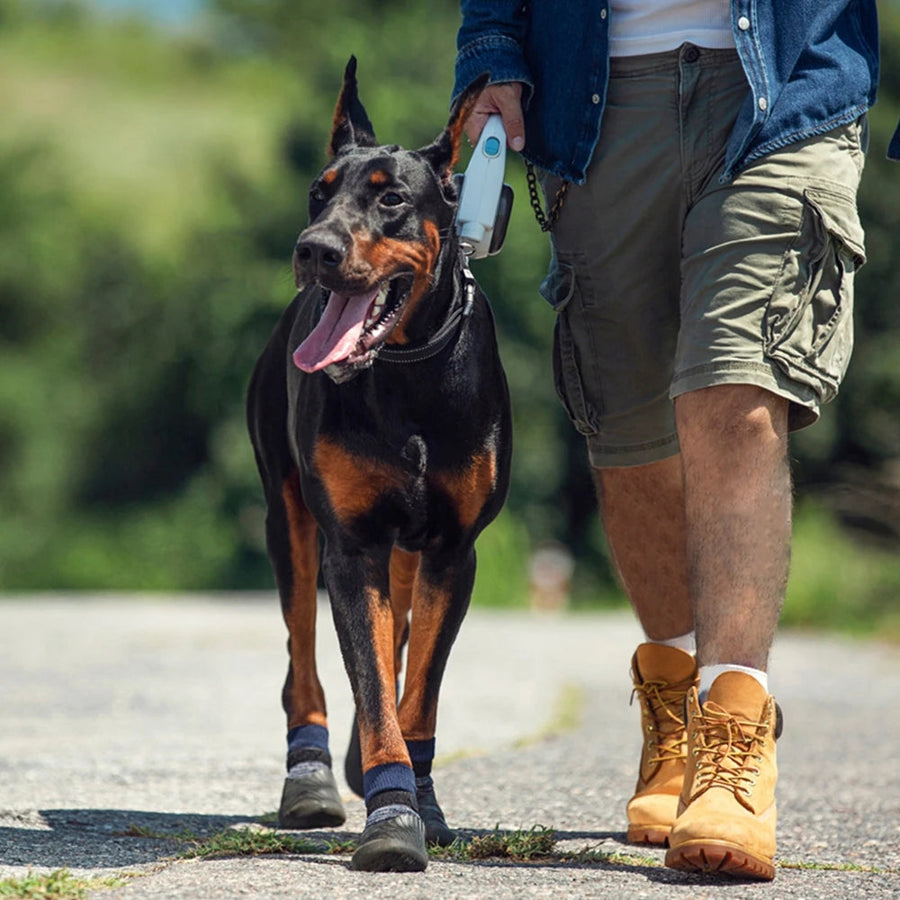 Type: Hiking Dog Shoes