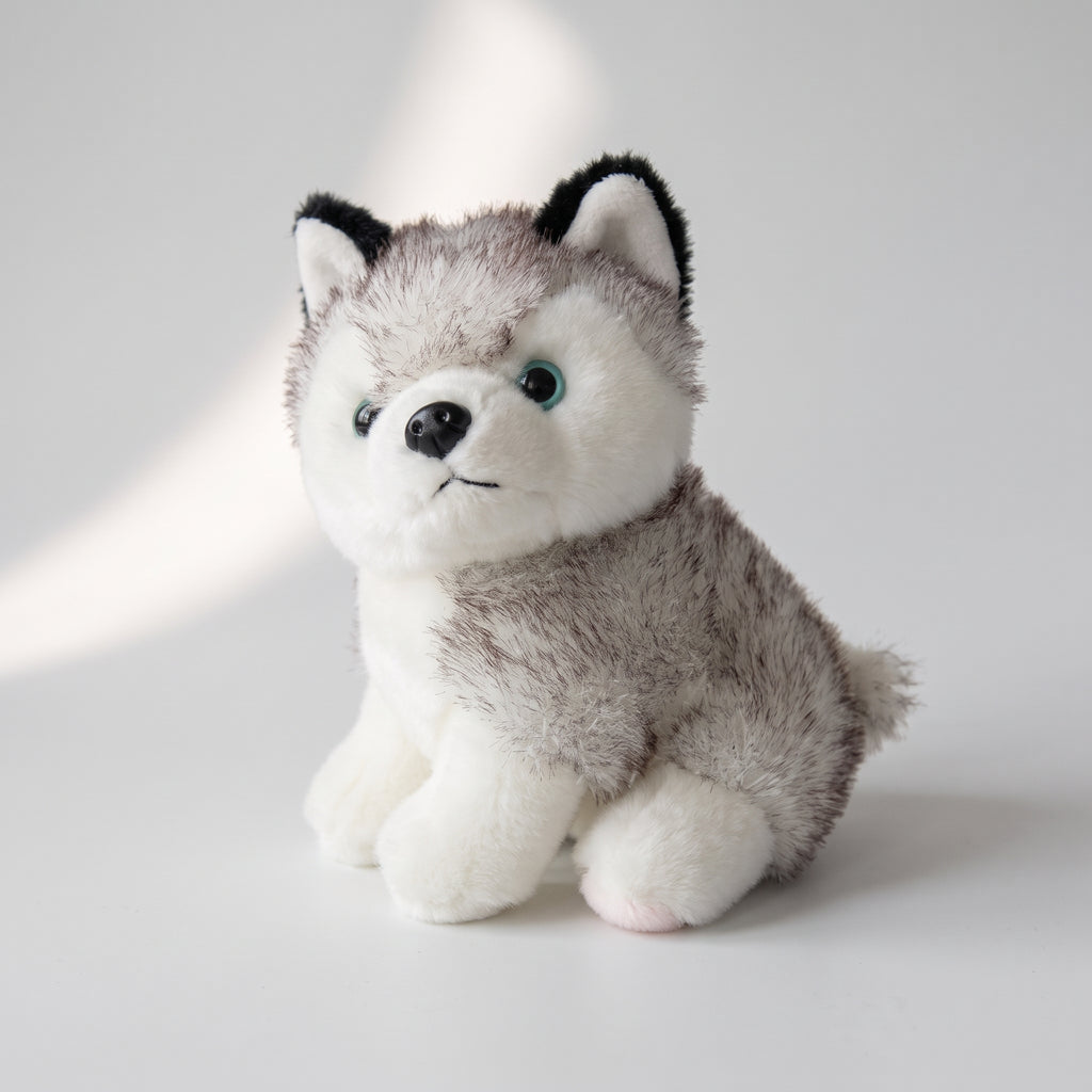 Husky Dog Plush Toy, studio photo on a light grey background