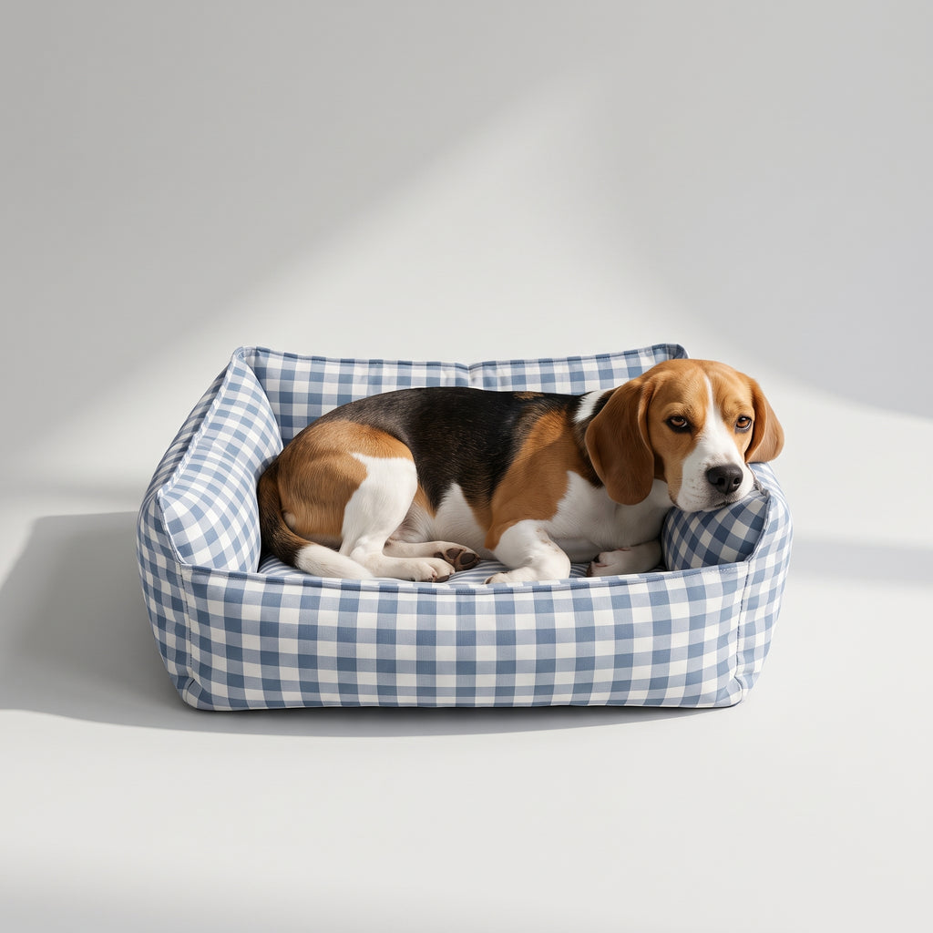 Indoor Dog Bed with a beagle, studio photo