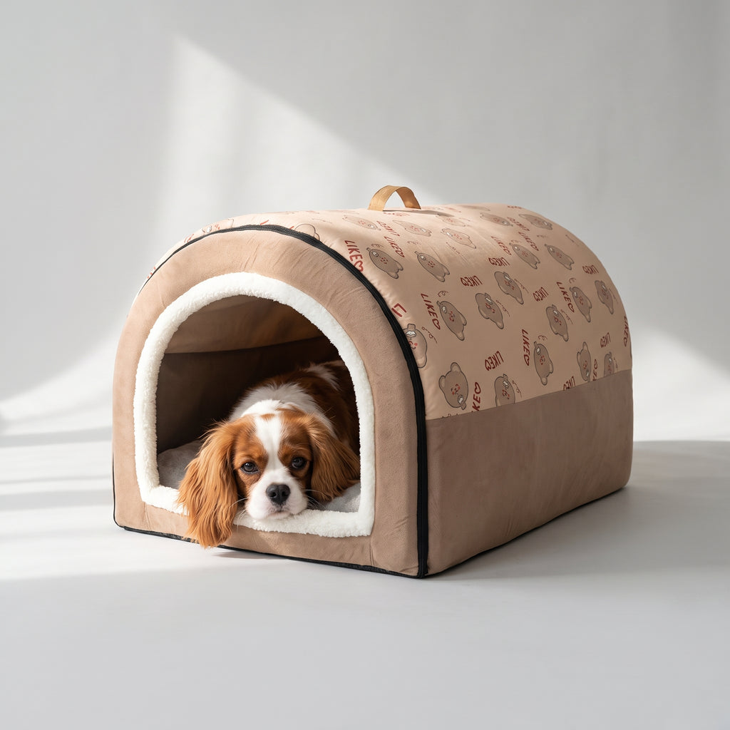 Indoor Dog House Bed, Covered and Cozy with a Cavalier King Charles, studio photo