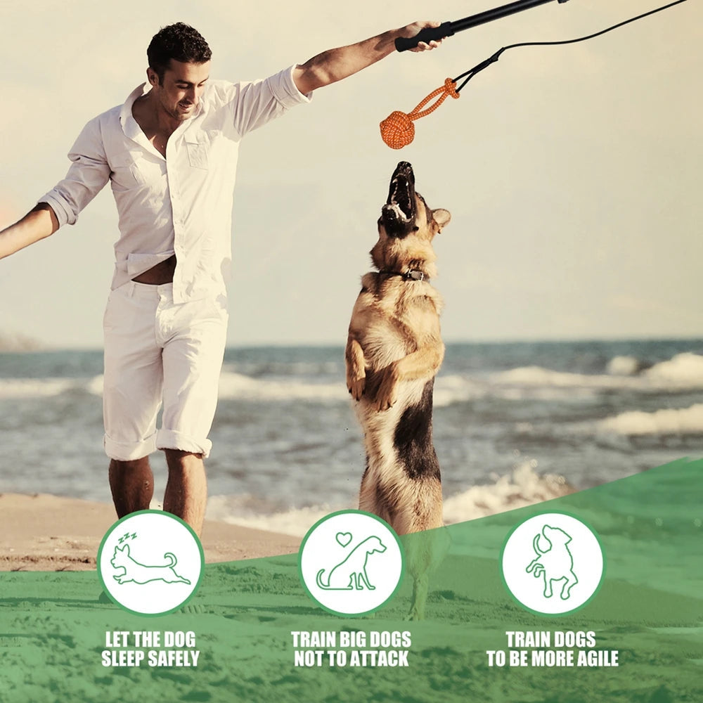 Interactive chew toys for dogs with extendable pole - black
