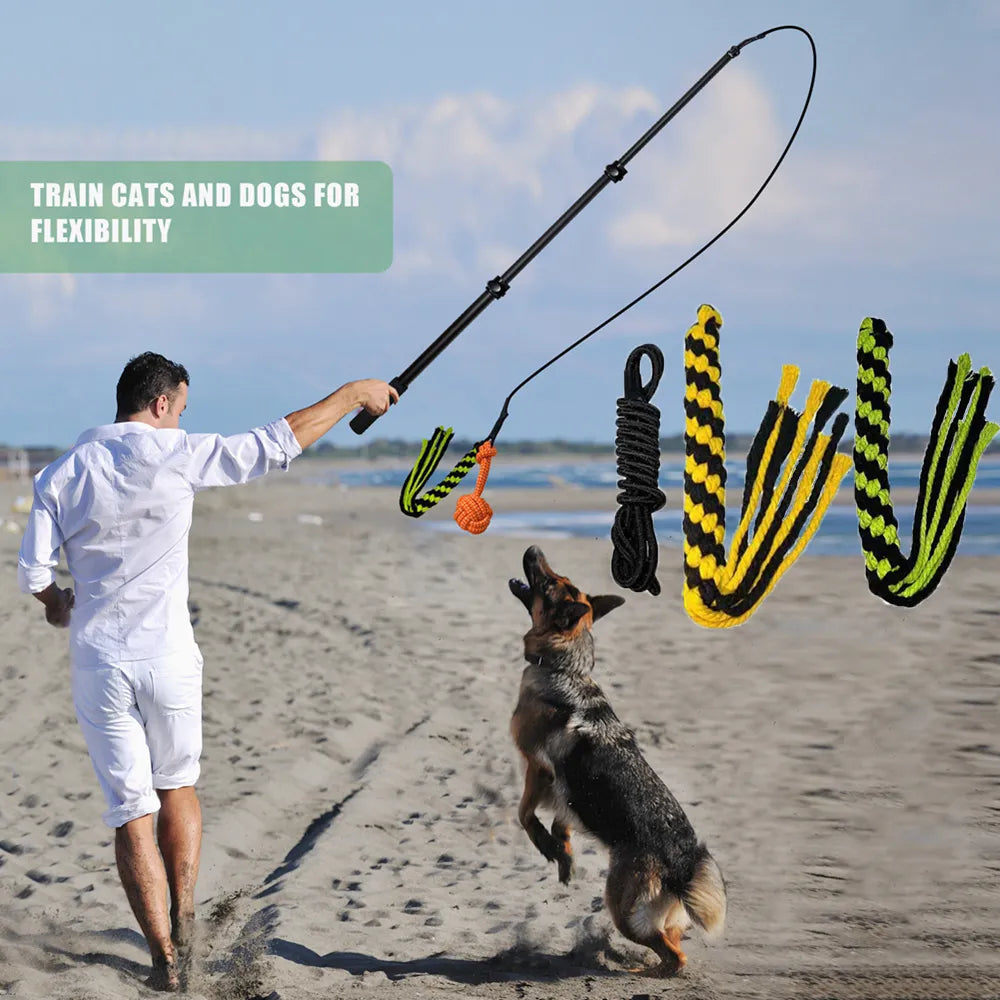 Interactive chew toys for dogs with extendable pole - black