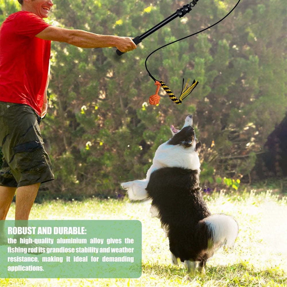 Interactive chew toys for dogs with extendable pole - black