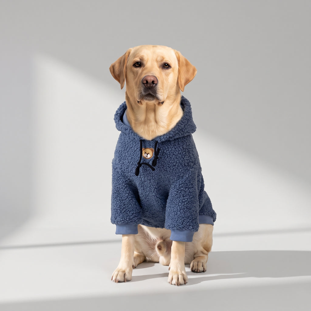 Large Dog Hoodie with a Labrador, studio photo