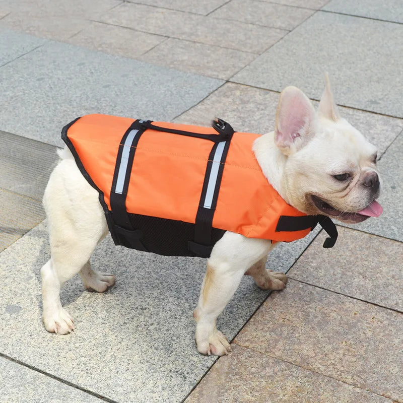 Large Dog Life Jacket