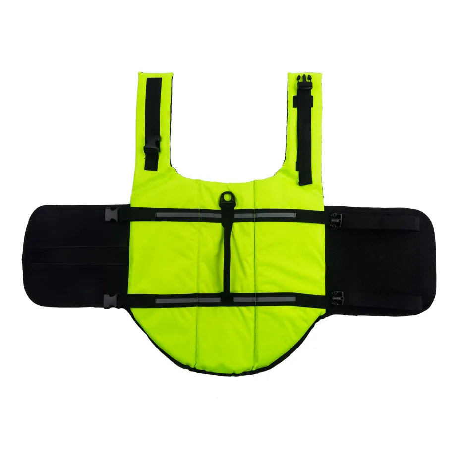 Large Dog Life Jacket in Green