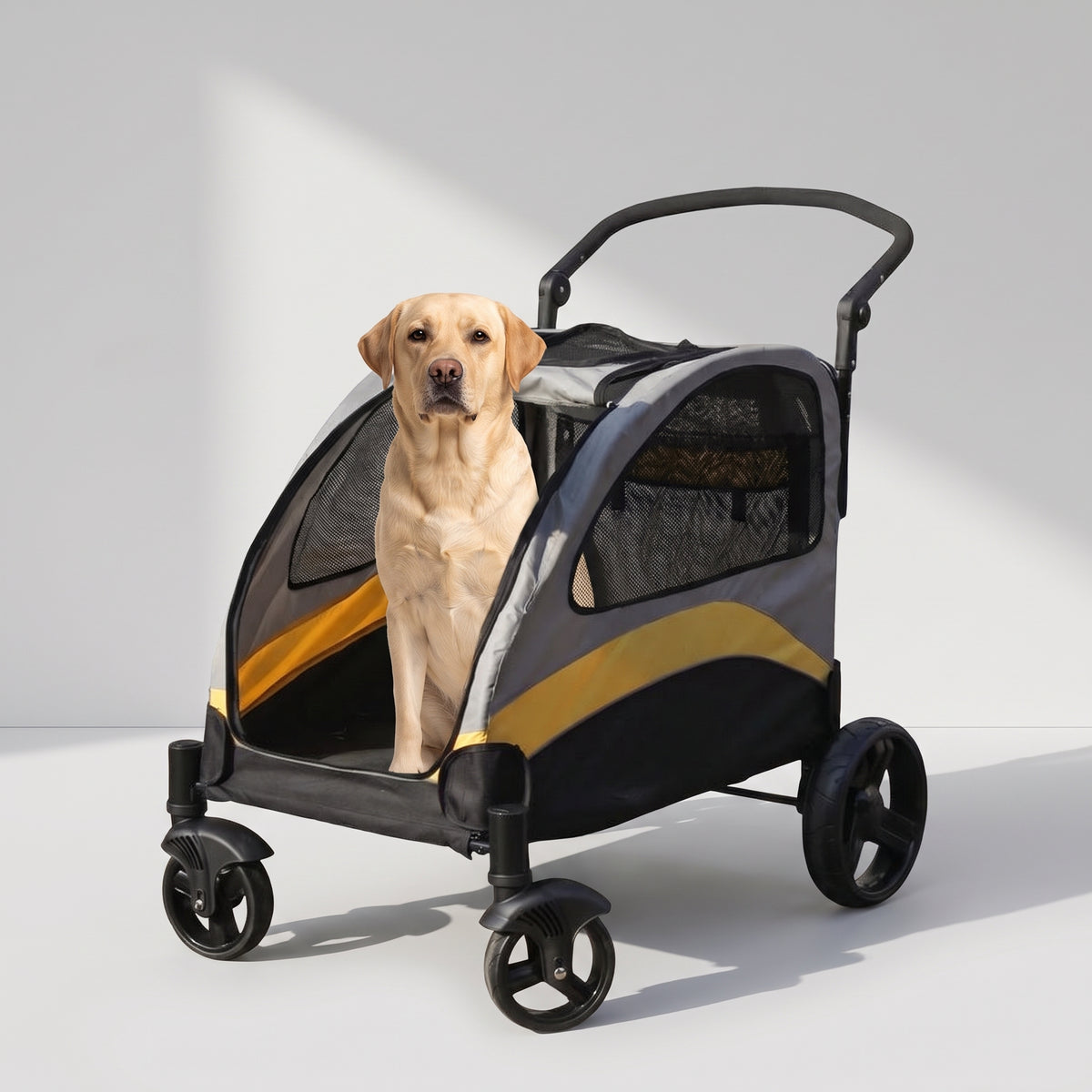 Large Dog Stroller with a Labrador, studio photo