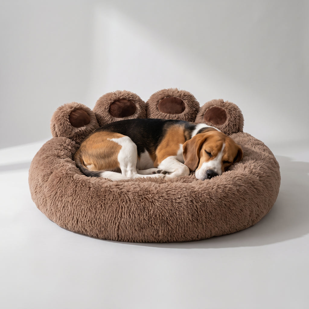 Large Fluffy Dog Bed with a beagle, studio photo