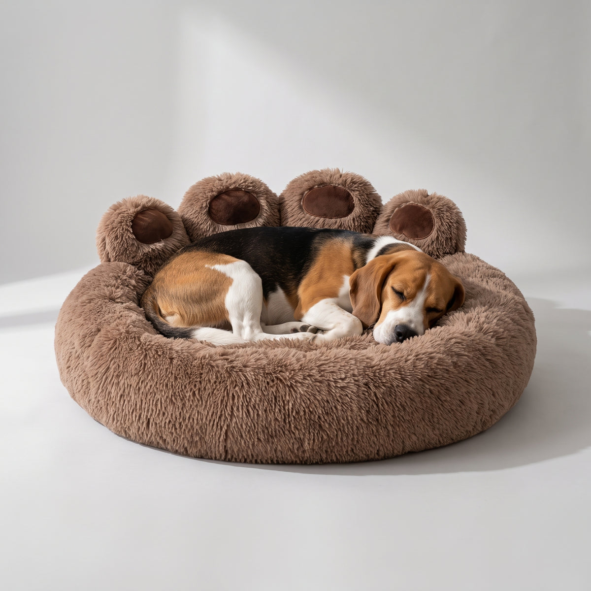 Large Fluffy Dog Bed with a beagle, studio photo