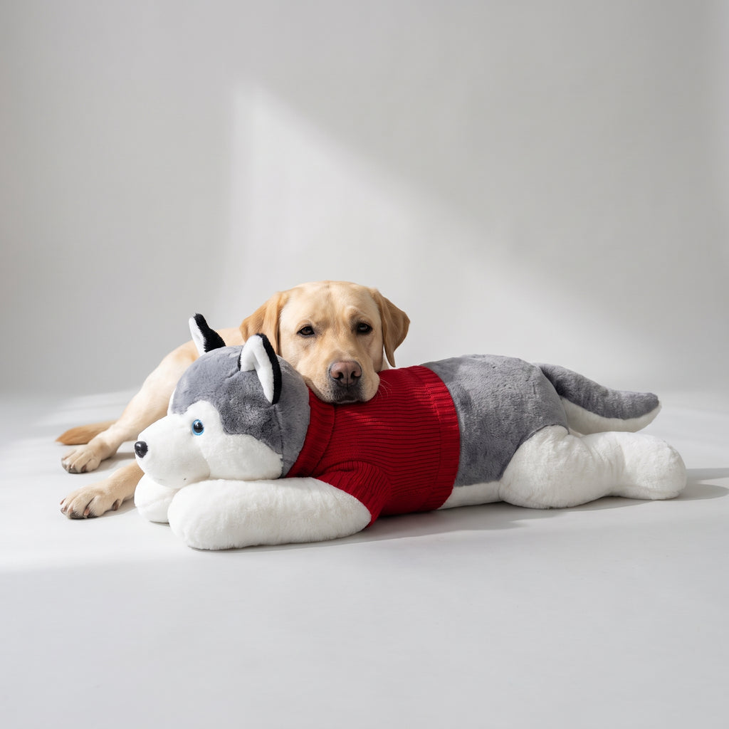 Large Husky Plush Toy with a Labrador, studio photo