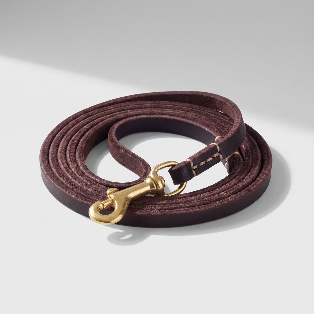 Leather Dog Leash, studio photo on a light grey background