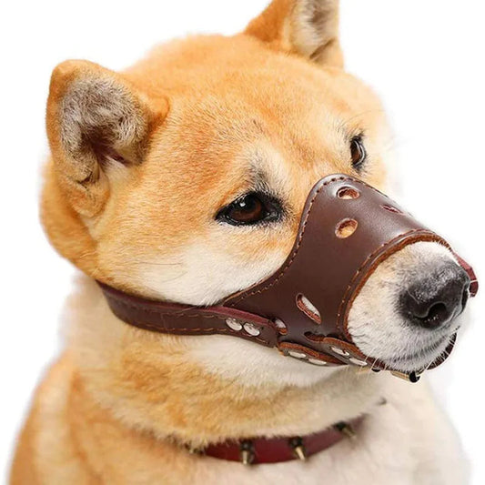 Leather Dog Muzzle