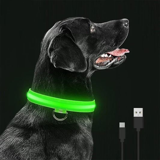 LED Dog Collar