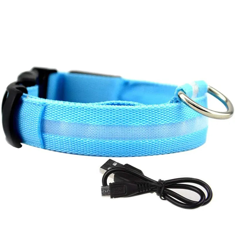 LED Dog Collar in Blue
