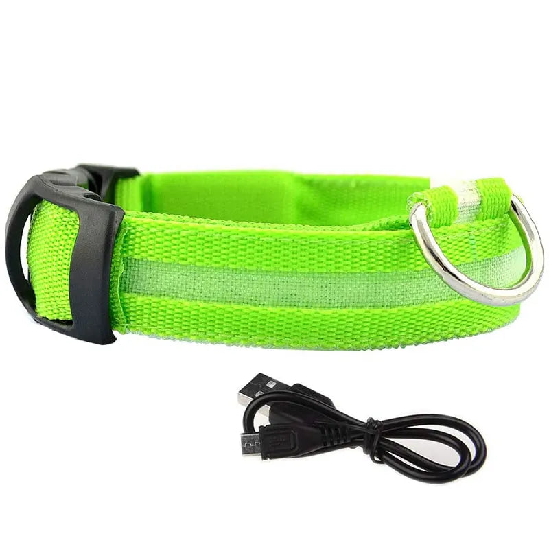 LED Dog Collar in Greeb