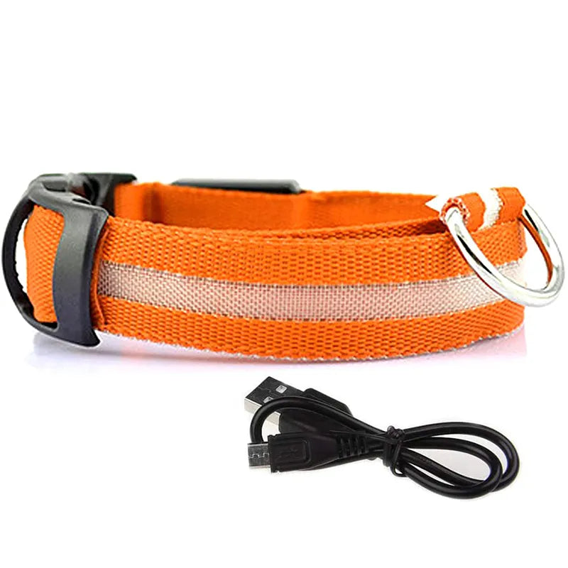 LED Dog Collar in Orange