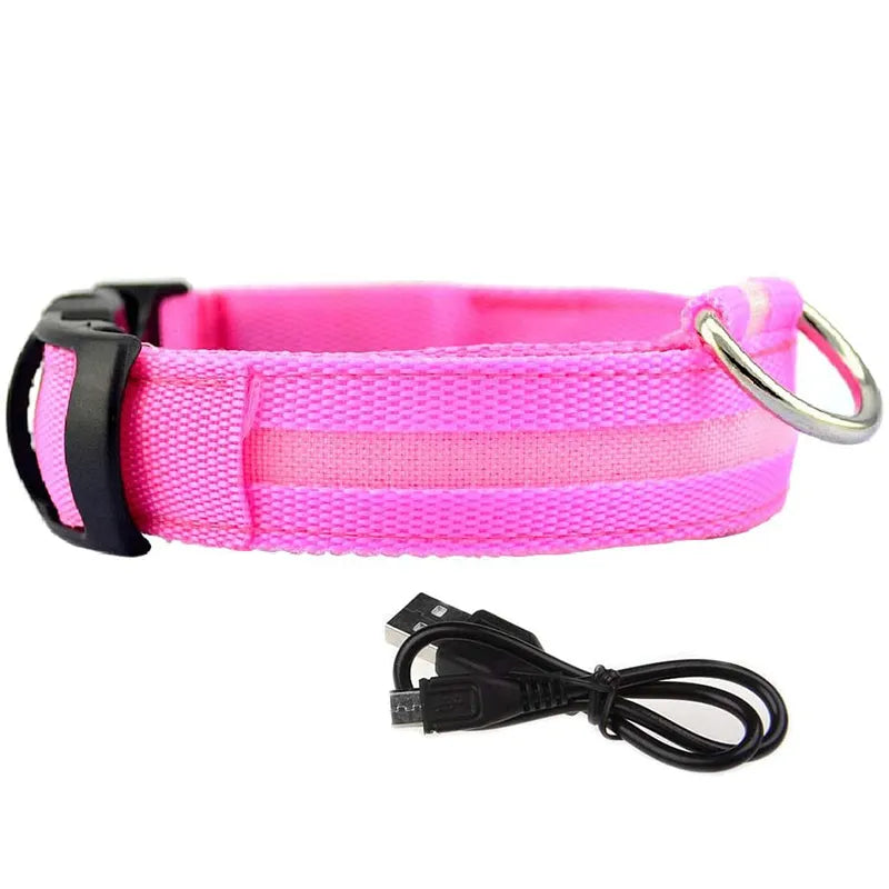 LED Dog Collar in Pink