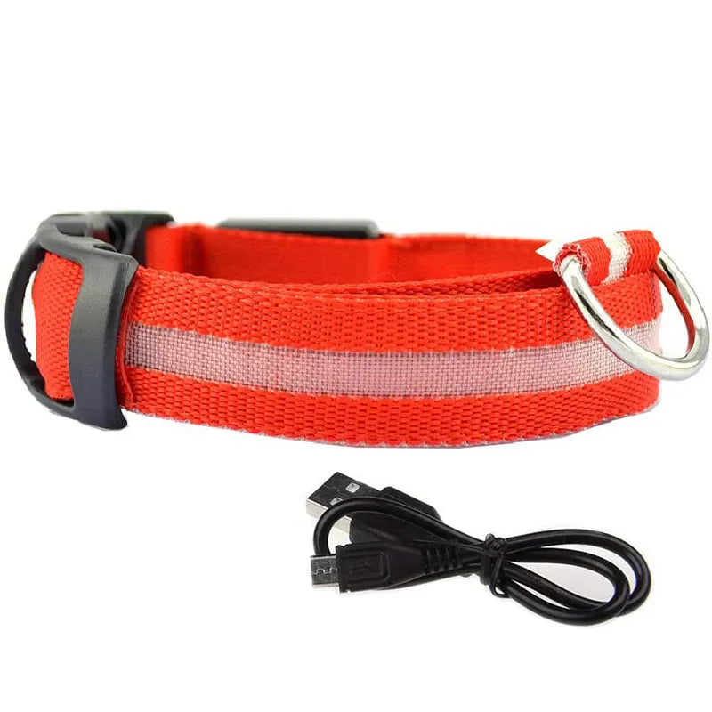 LED Dog Collar in Red
