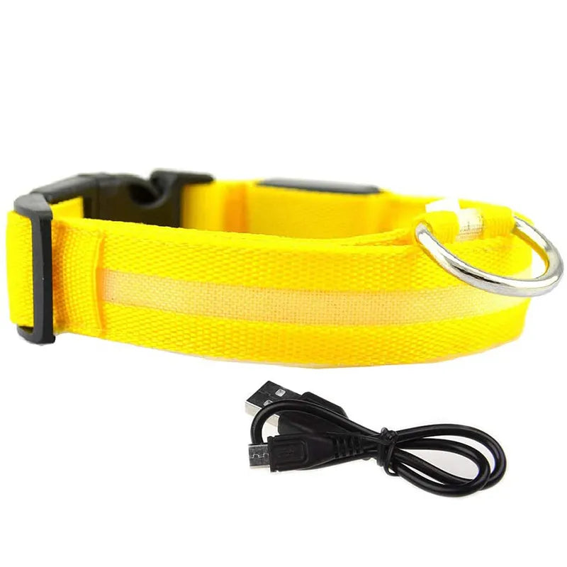 LED Dog Collar in Yellow
