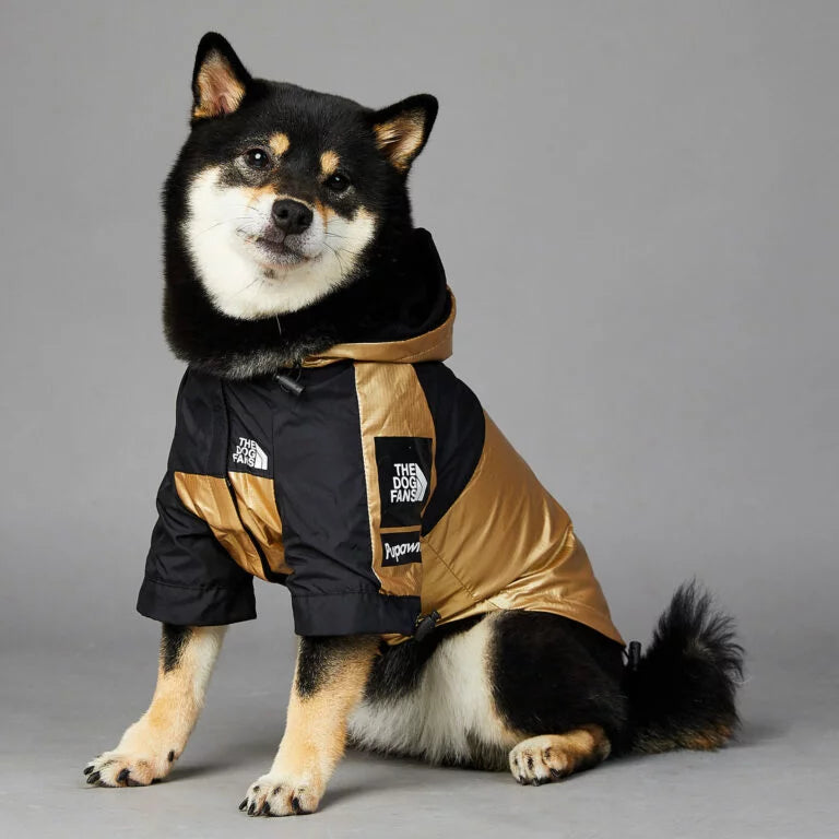 Luxury Dog Raincoat