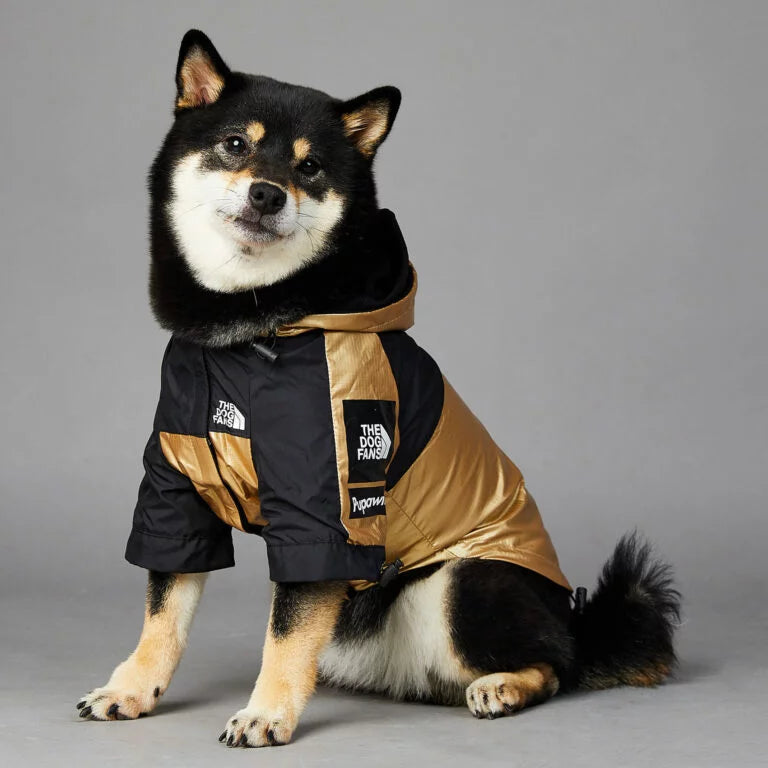 The paw face jacket 2025