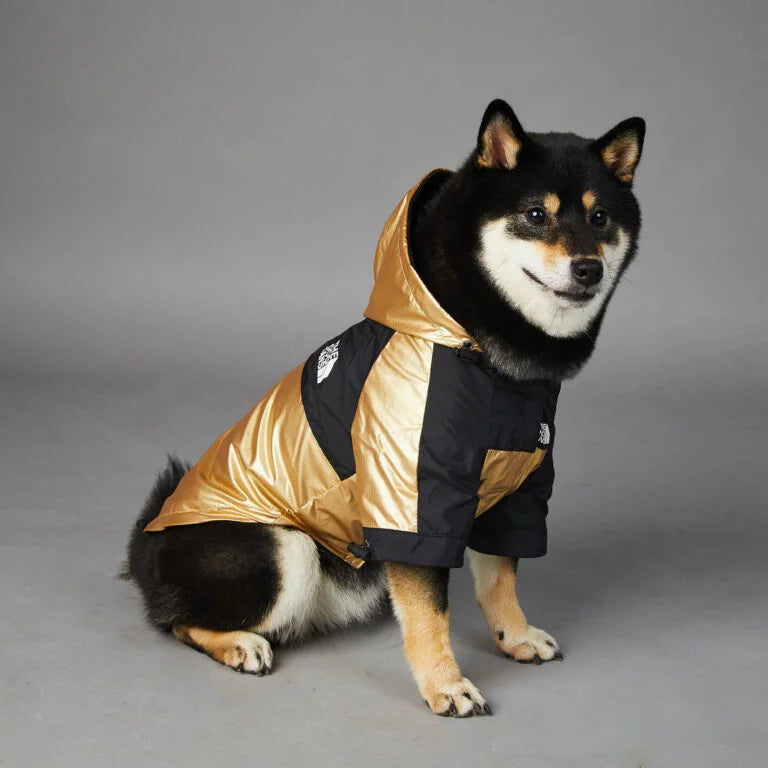 Luxury Dog Raincoat