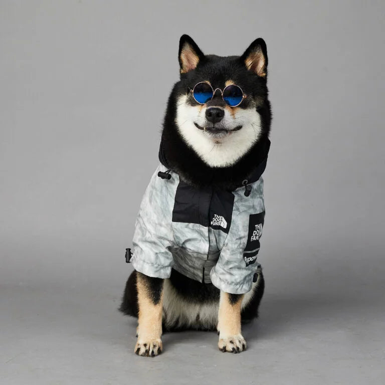 Luxury Dog Raincoat