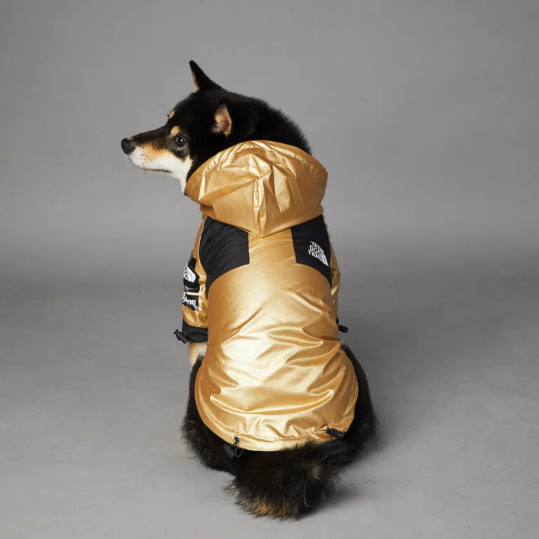 Luxury Dog Raincoat