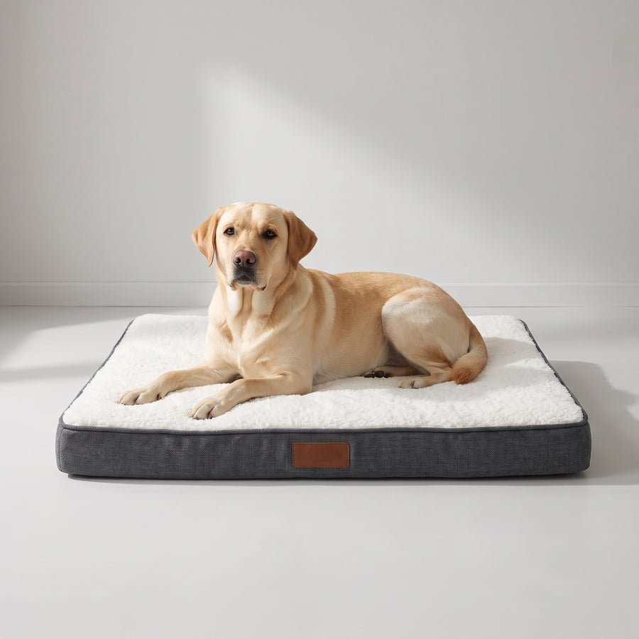 Material: Made from high-quality FIBER, ensuring durability and long-lasting use.