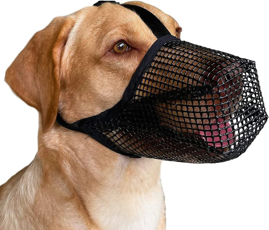 Upgraded and Durable: The fully covered nose mesh design of the Mesh Dog Muzzle not only ensures durability but also allows for quick cleaning and drying.