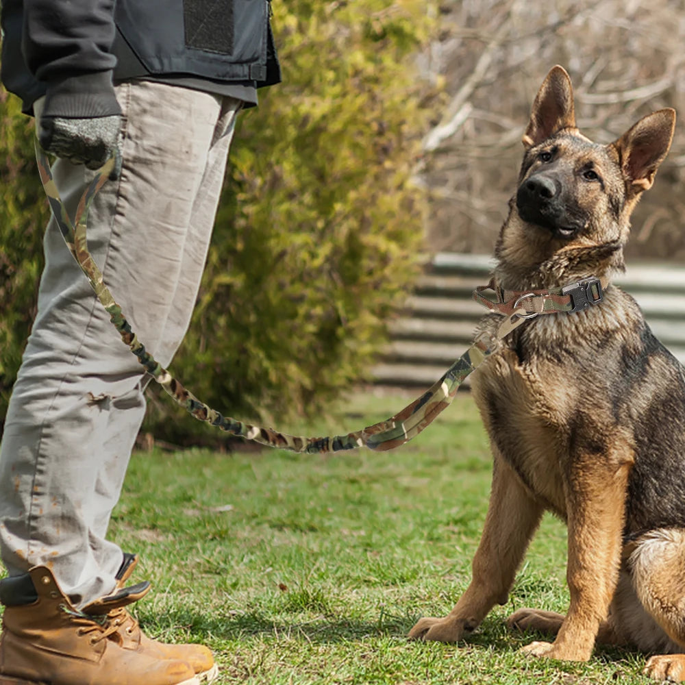 Military Tactical Dog Collar
