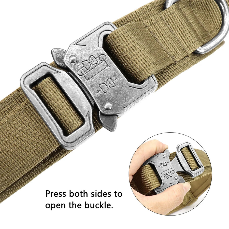 Perfect for Pet Training, Walking, and Running