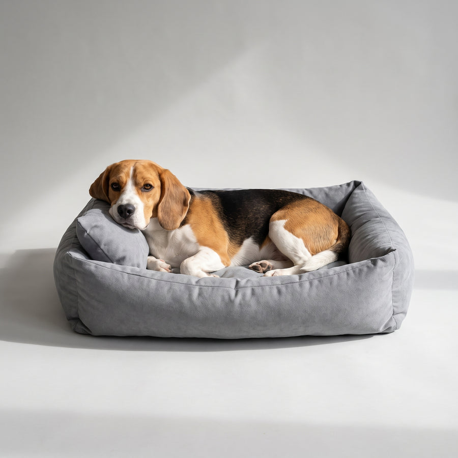 Material: Made with 100% Cotton, this dog bed offers a soft and comfortable sleeping surface for your beloved pet.