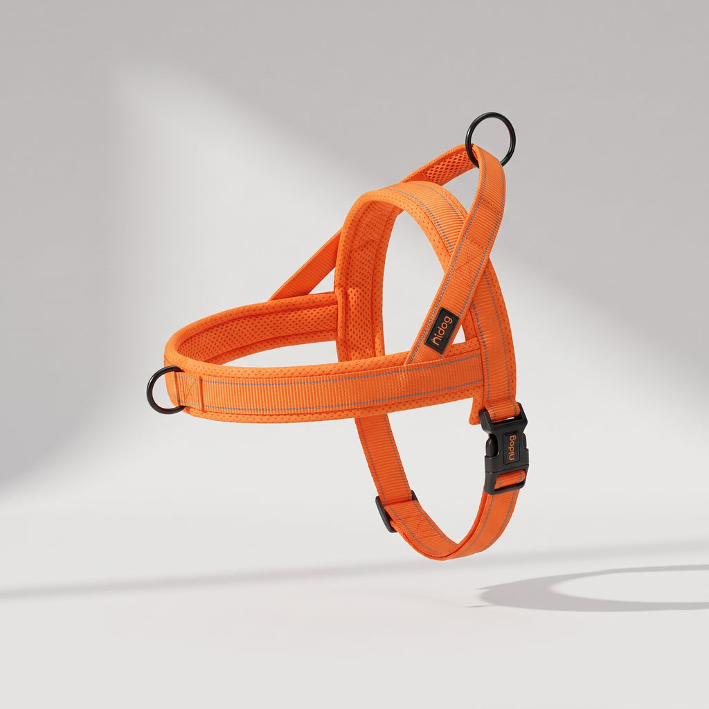 No Pull Dog Harness with Reflective Strips, studio photo on a light grey background