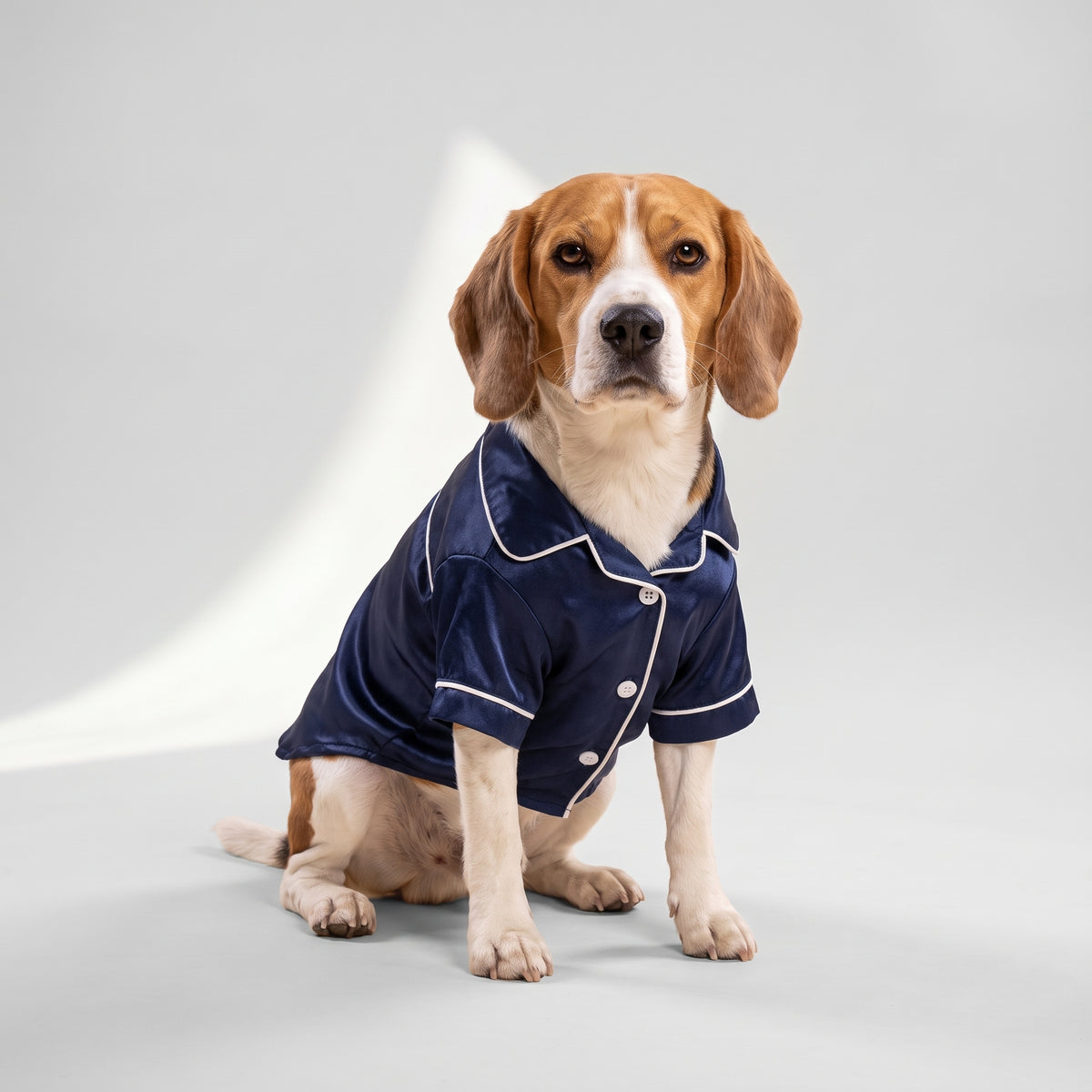 Navy Blue Cotton Dog Pajamas for Cozy Nights with a beagle, studio photo