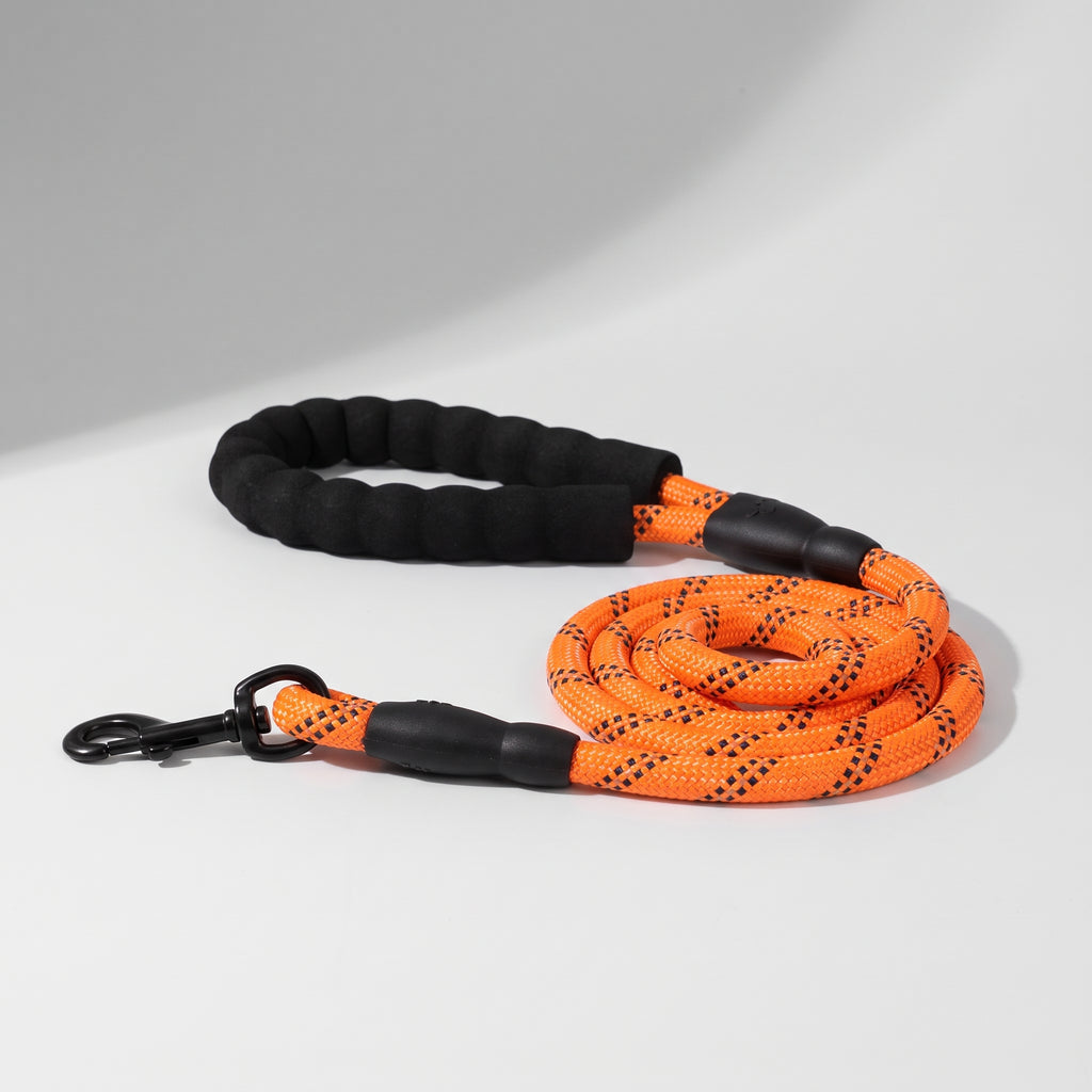 Orange Dog Leash, studio photo on a light grey background