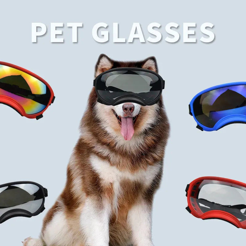 Outdoor Dog Sport Glasses