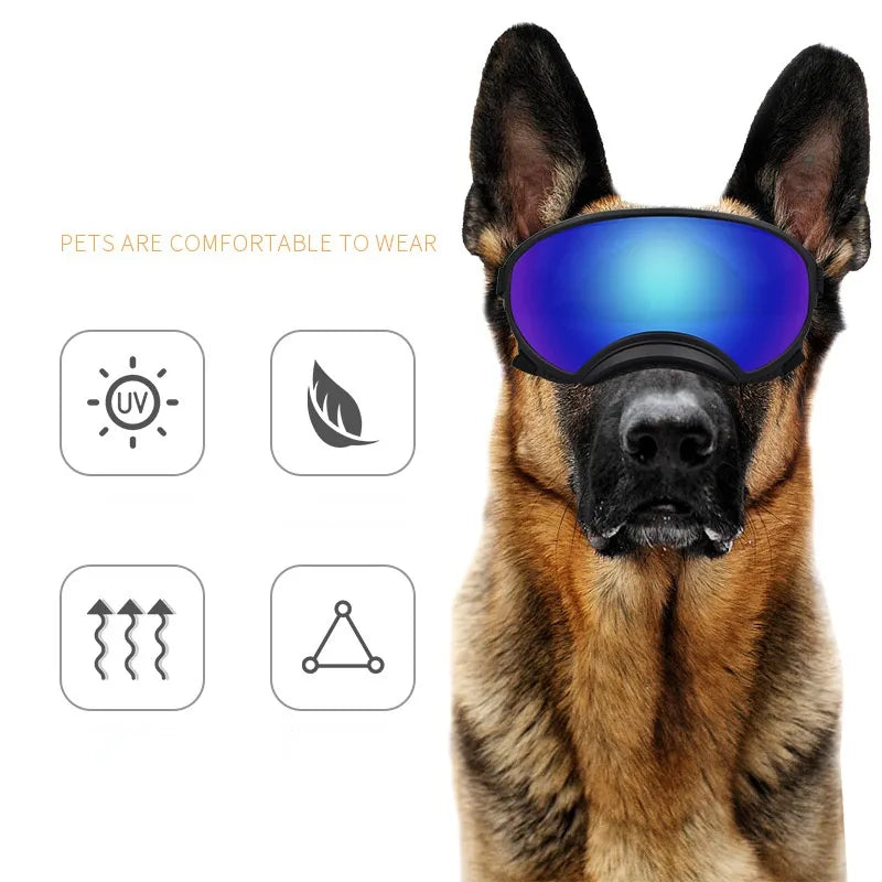 Outdoor Dog Sport Glasses