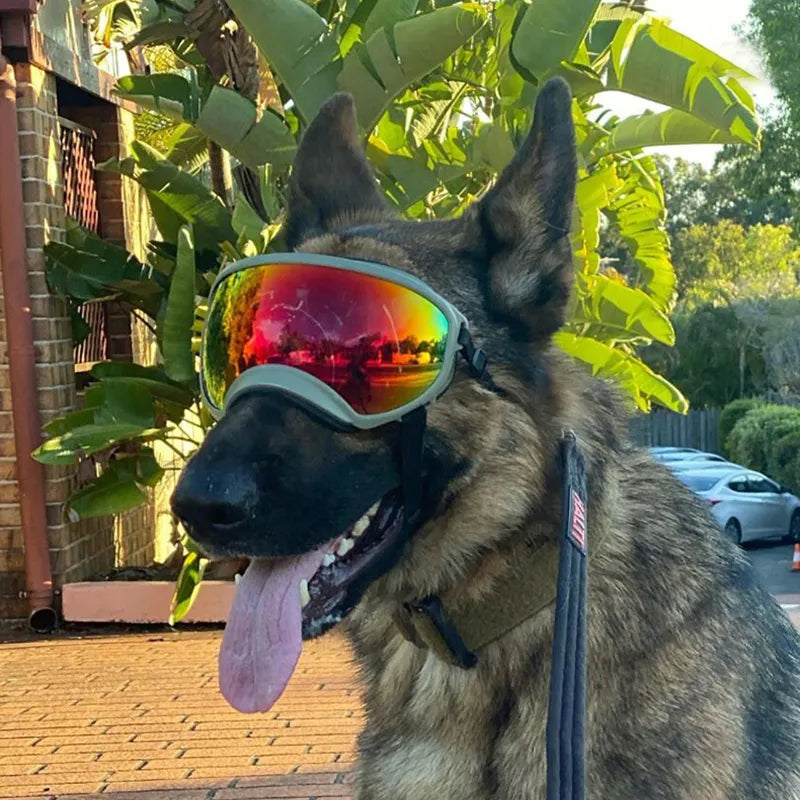 Double air circulation holes prevent the generation of water vapor and do not obstruct pet vision.