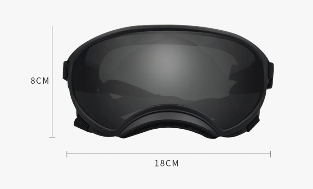 Outdoor Dog Sport Glasses