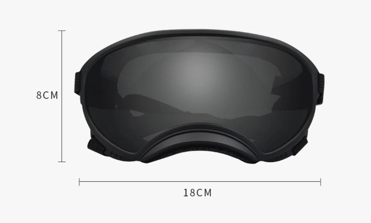 Outdoor Dog Sport Glasses