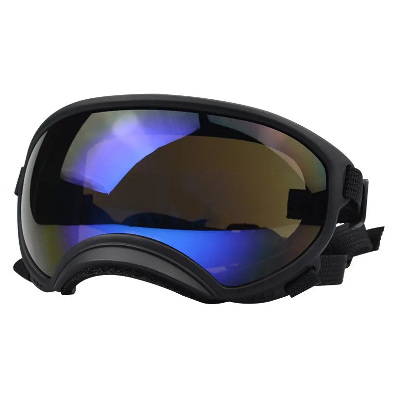 Outdoor Dog Sport Glasses in Black blue