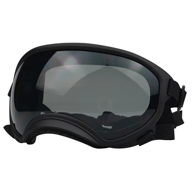 Outdoor Dog Sport Glasses in Black gray