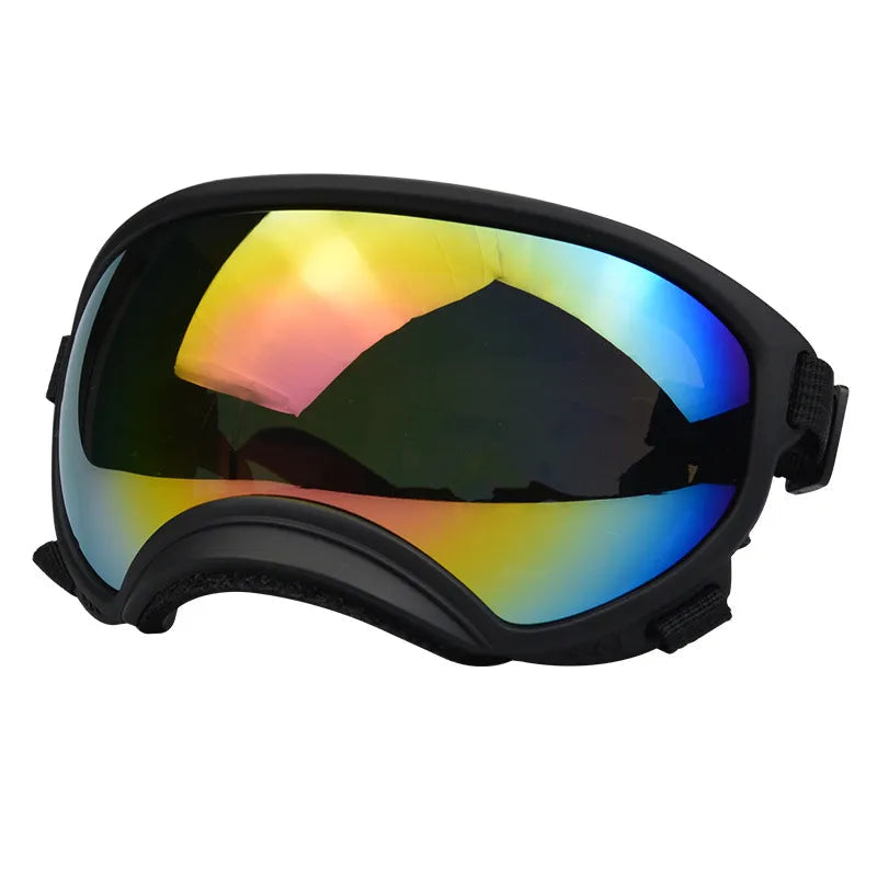 Outdoor Dog Sport Glasses in Black red