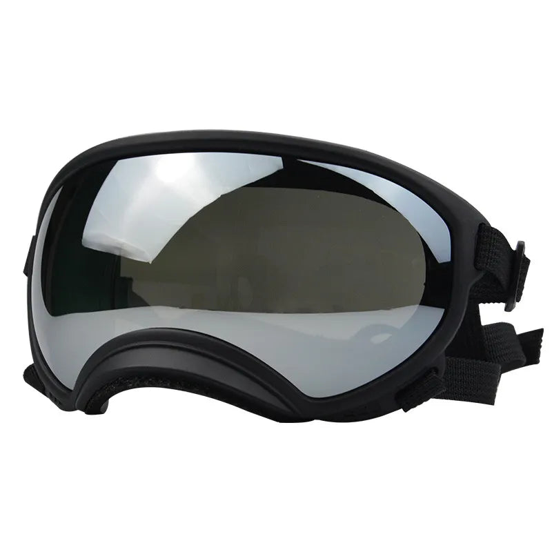 Outdoor Dog Sport Glasses in Black sliver